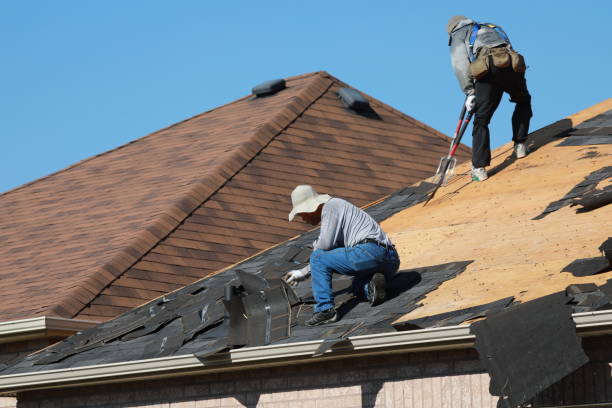 Best Skylight Installation and Repair  in Bay Springs, MS