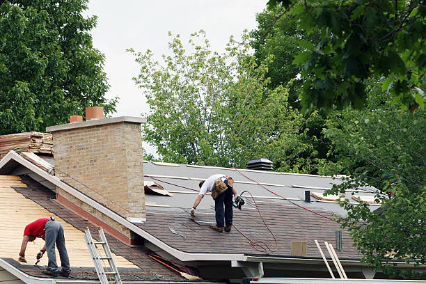 Best Storm Damage Roof Repair  in Bay Springs, MS